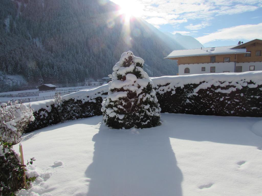 Appartamento Haus Egger Neustift im Stubaital Esterno foto